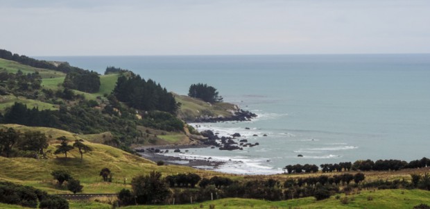 The Pacific coast north of Dunedin